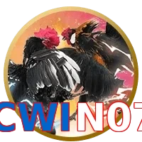 CWIN07